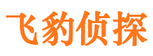 桐梓外遇出轨调查取证